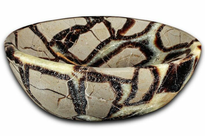Eye-Eatching, Polished Septarian Bowl - Madagascar #350234